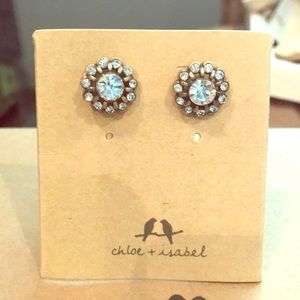 Chloe and Isabel earrings. Displayed only